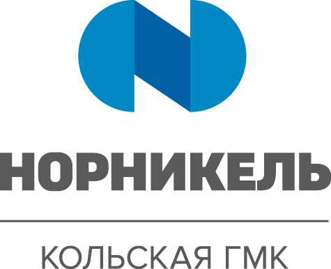 Norilsk Nickel logo, a Russian mining and metallurgical company.