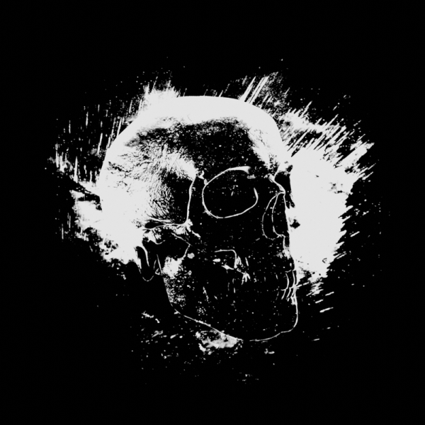 A distressed skull graphic against a black background represents Death Sky Records.